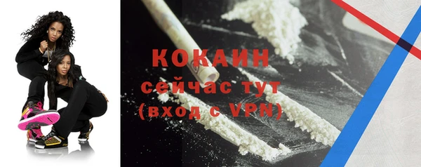 ECSTASY Богородицк