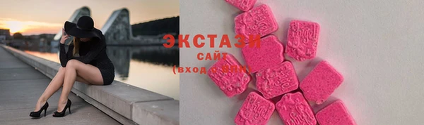 ECSTASY Богородицк