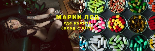 ECSTASY Богородицк